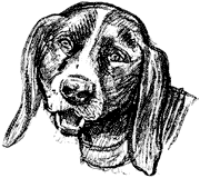 Cute Doggy